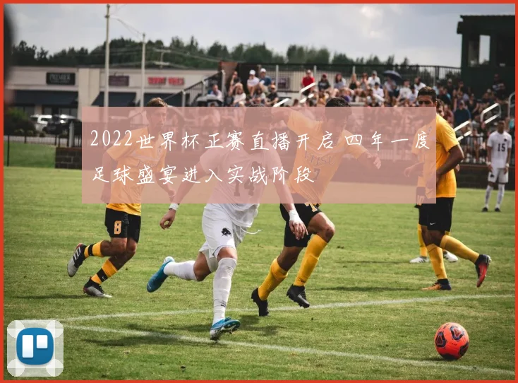 2022世界杯正赛直播开启 四年一度足球盛宴进入实战阶段