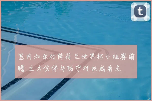 塞内加尔对阵荷兰世界杯小组赛前瞻 主力伤停与防守对抗成看点